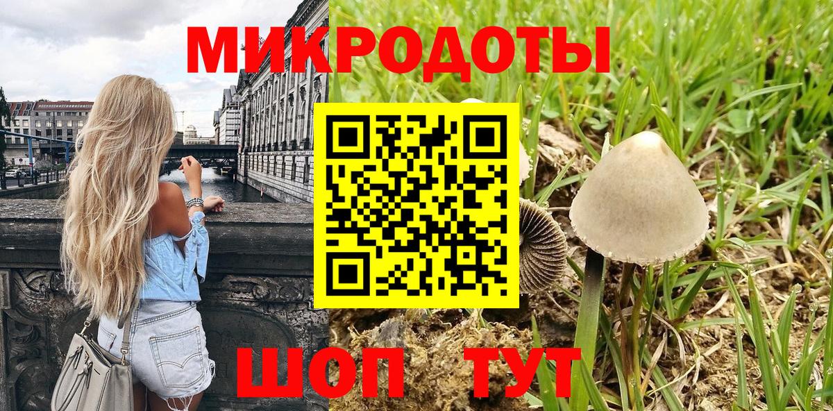 Псилоцибиновые грибы мицелий Фролово
