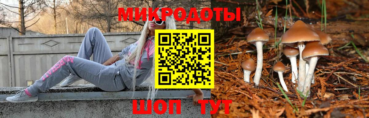 Фролово  сколько стоит  Вход с VPN  Псилоцибиновые грибы GOLDEN TEACHER 